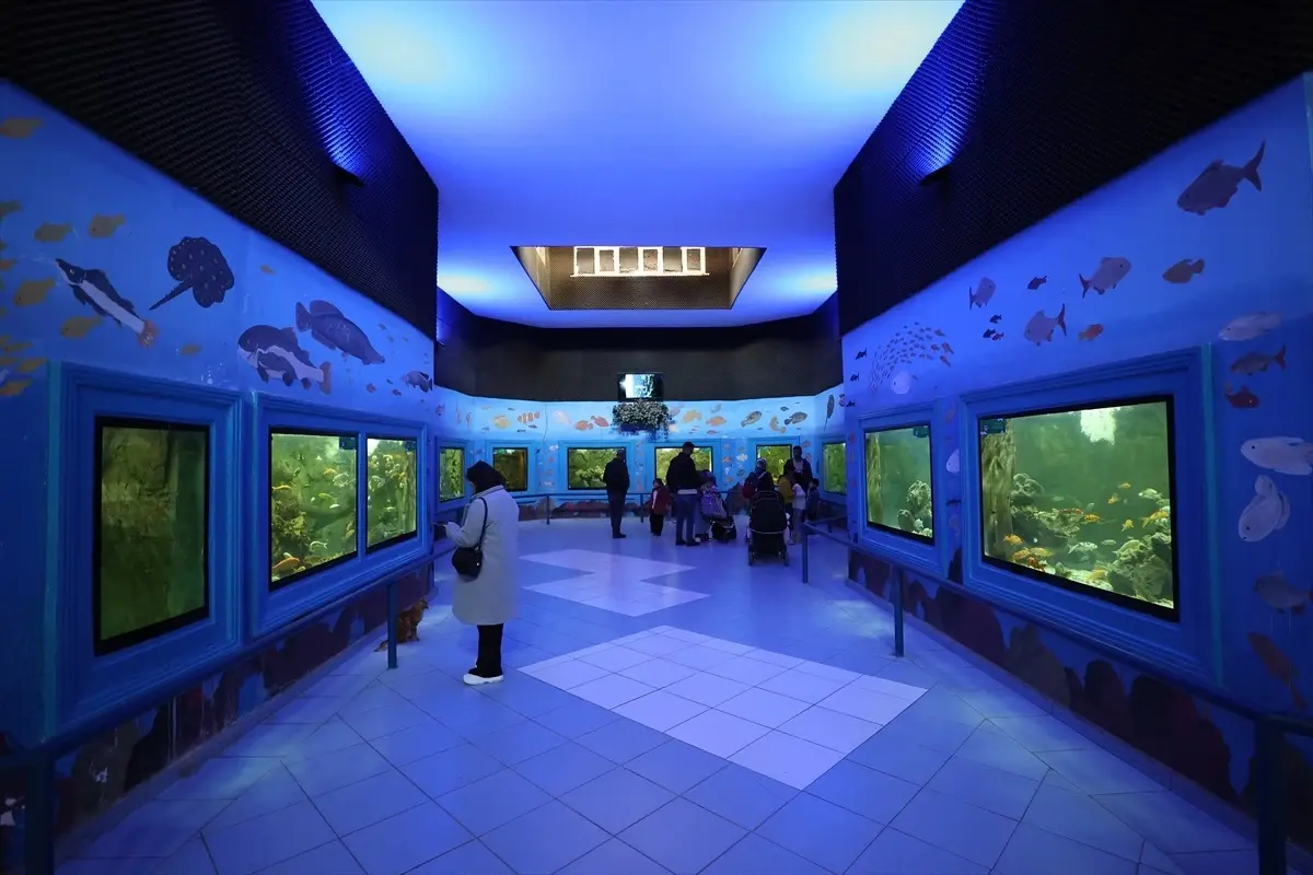 Zooloji salonunda doldurulmuş hayvan örnekleri