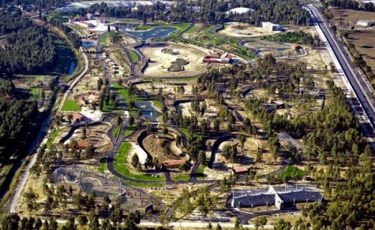 Zooloji salonunda doldurulmuş hayvan örnekleri