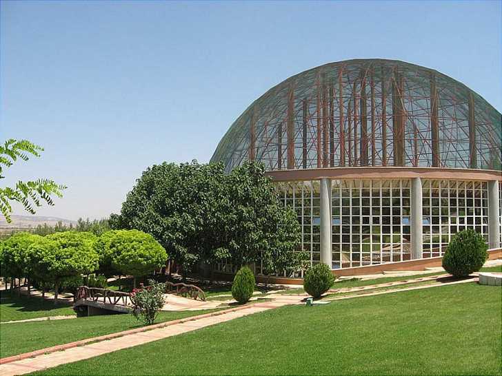 Mamut iskeleti sergisi