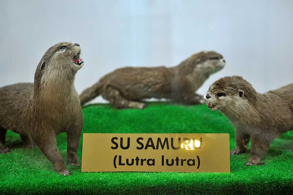 Eğitim köşesinde bilgilendirici panolar