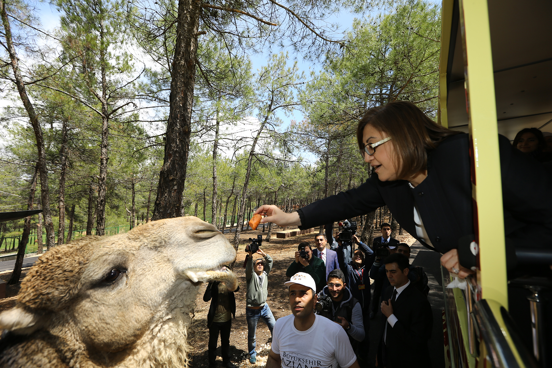 Zooloji salonunda doldurulmuş hayvan örnekleri