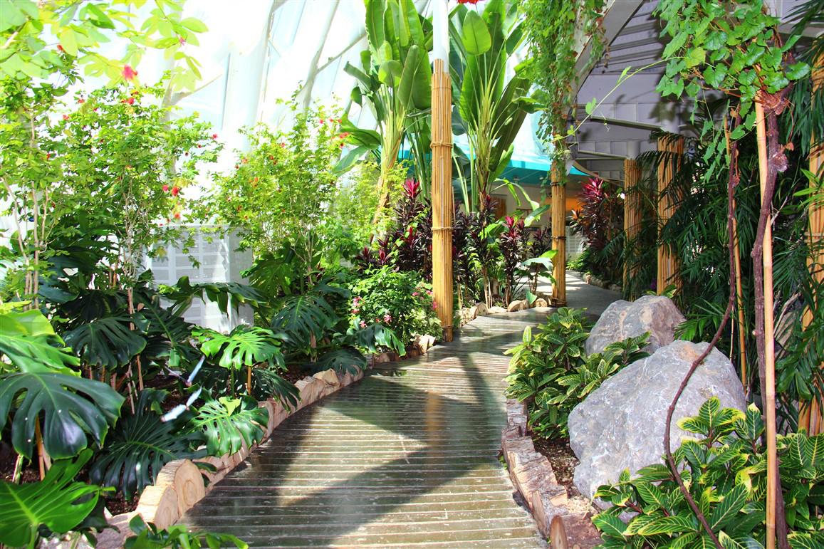 Mamut iskeleti sergisi