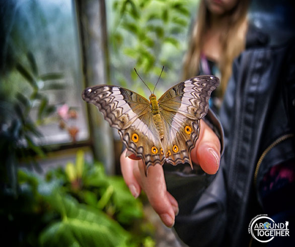 Eğitim köşesinde bilgilendirici panolar